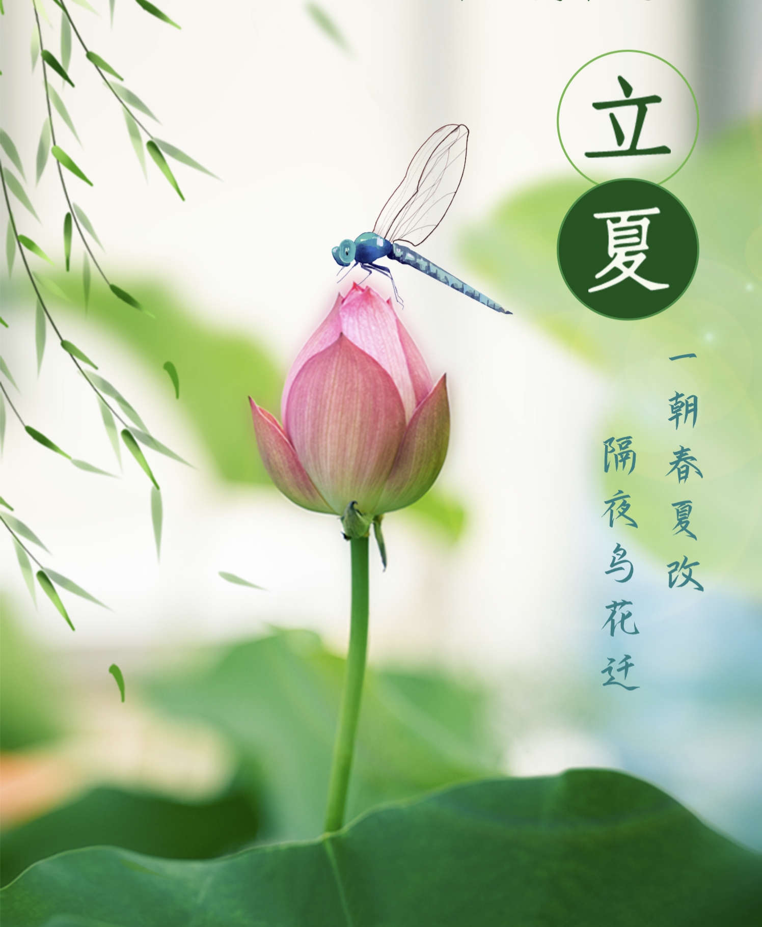 IMG_20230506_183533今日立夏.jpg